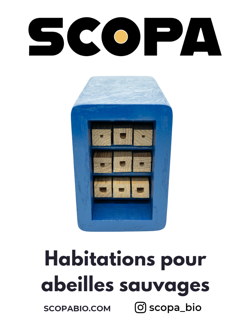 scopa_guide_fr